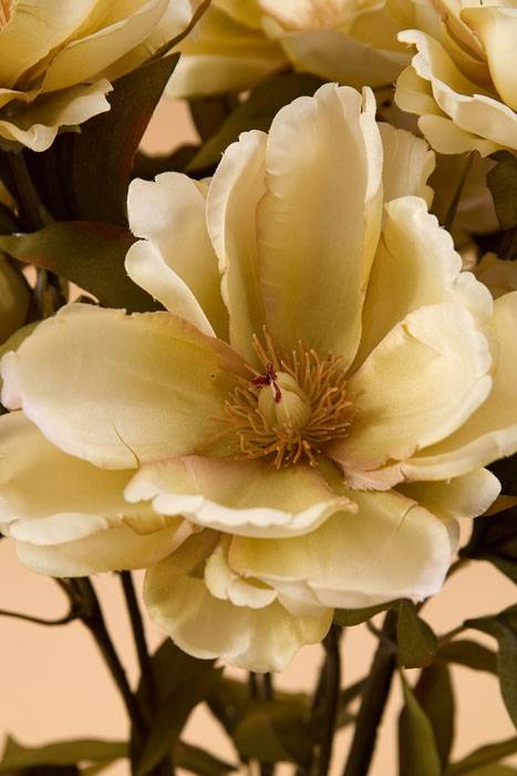 23" Magnolia Bush Beige