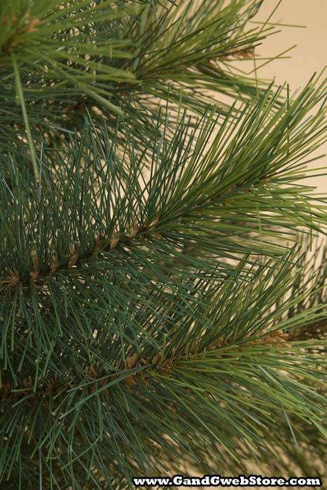 24" Royal Oregon Tree W/53 Tips Green