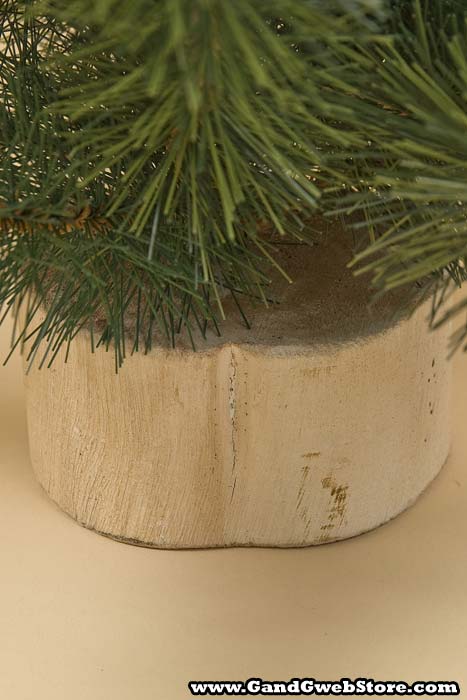 24" Royal Oregon Tree W/53 Tips Green