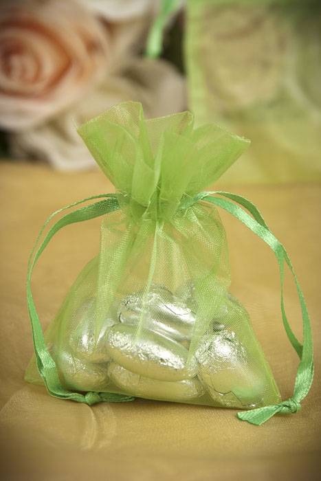 3" X 4" Organza Pouch Lime Pkg/12