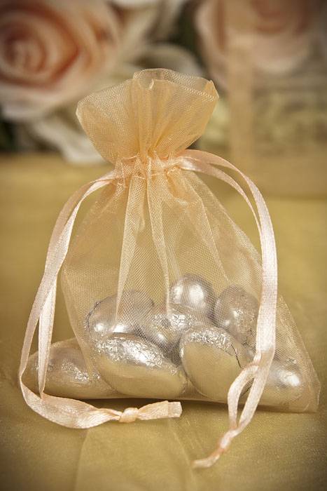 3" X 4" Sheer Pouches Bag Peach Pkg/12