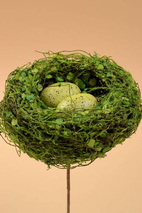 7" Nest W/2 Eggs & Stick Natural