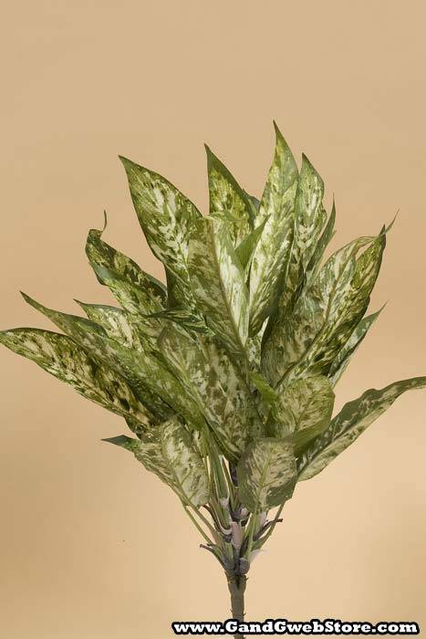 18.5" Aglaonema Bush Green