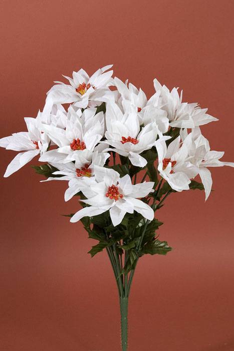 17 In Poinsettia Bush White