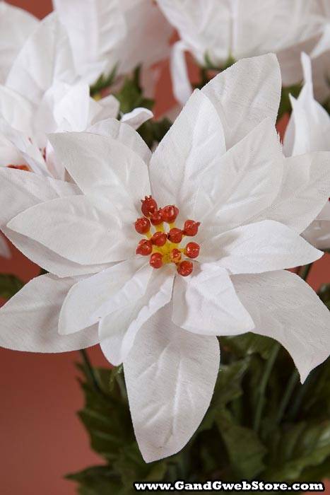 17 In Poinsettia Bush White