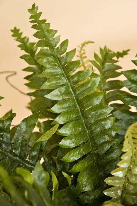 34" Artificial Boston Fern Green