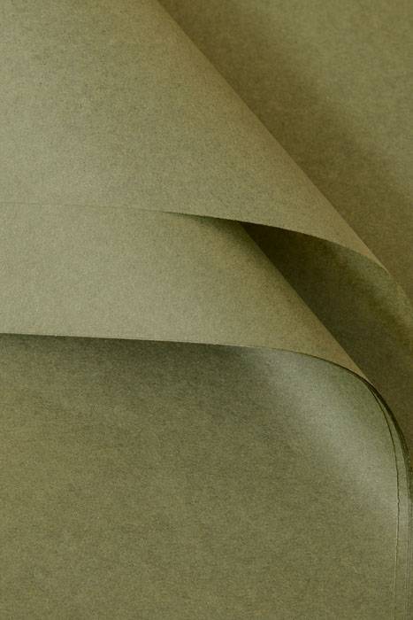 20" X 30" Tissue Paper Olive Green Pkg/24