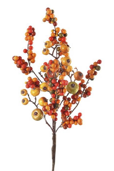 14" Mixed Harvest Berry & Crabapple Pick Harvest Mix