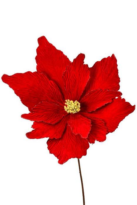 36" Super Velvet Glitter Edge Poinsettia Red