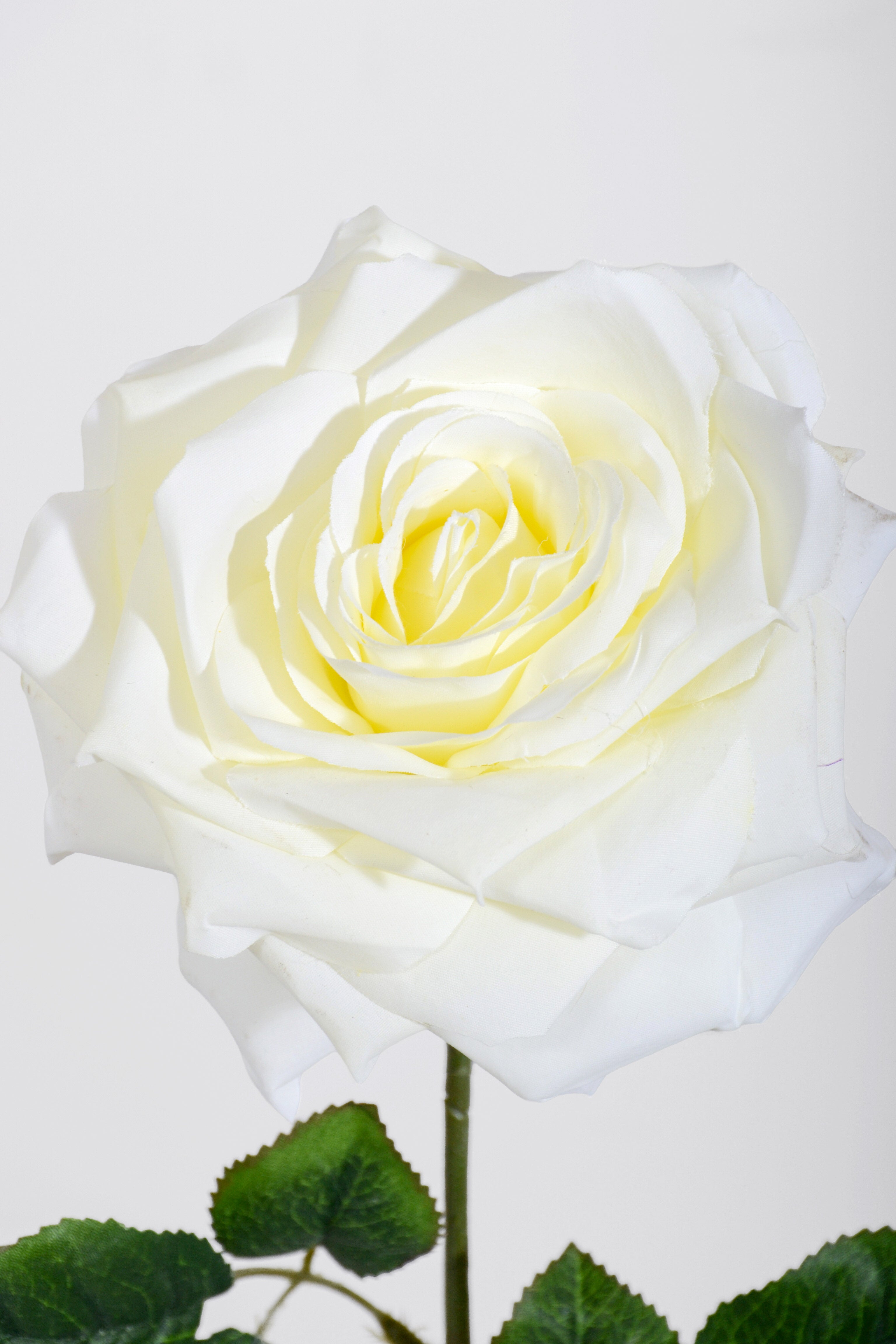 20" Silk Open Rose Spray Cream