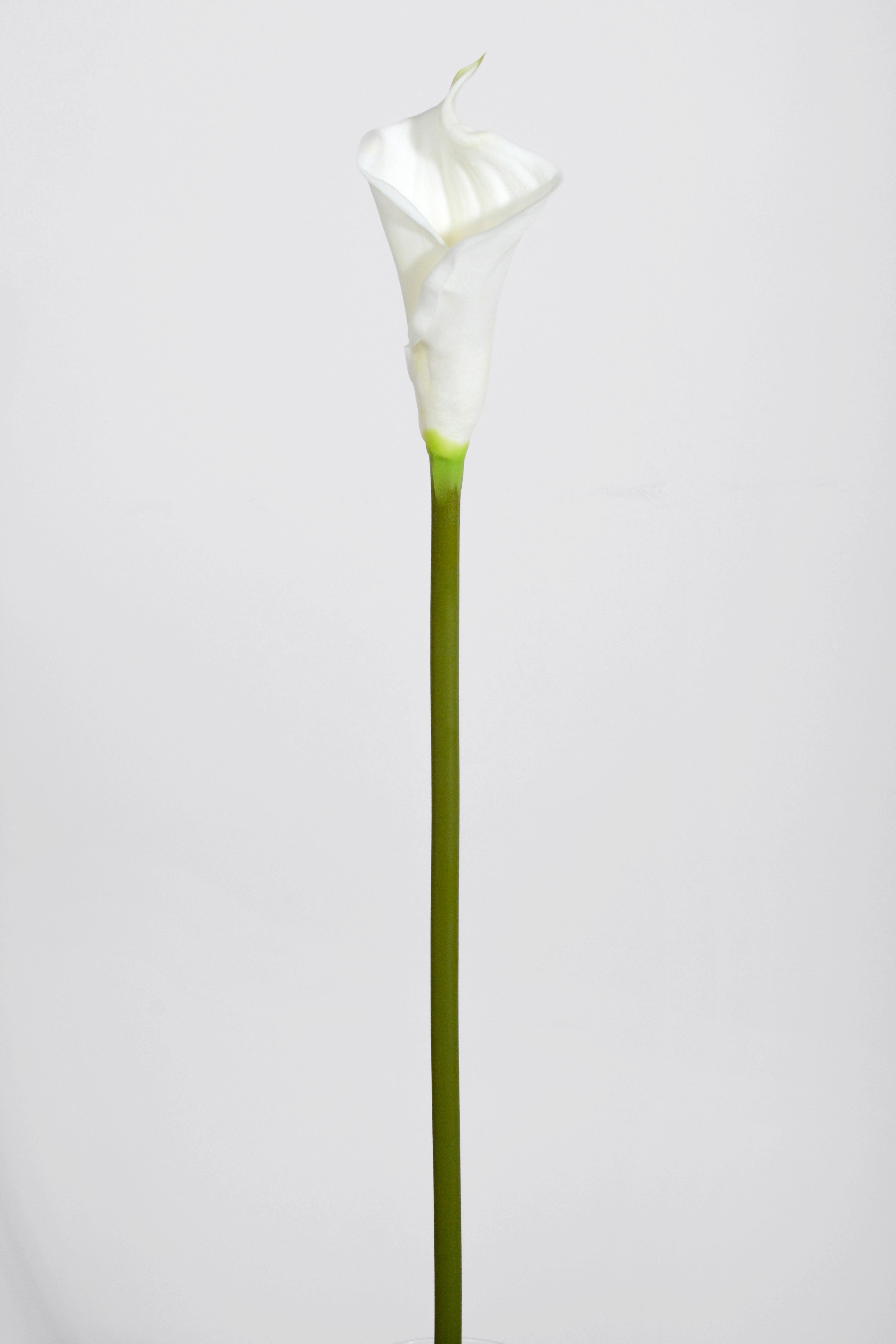 25.5" Artificial Calla Lily Spray White