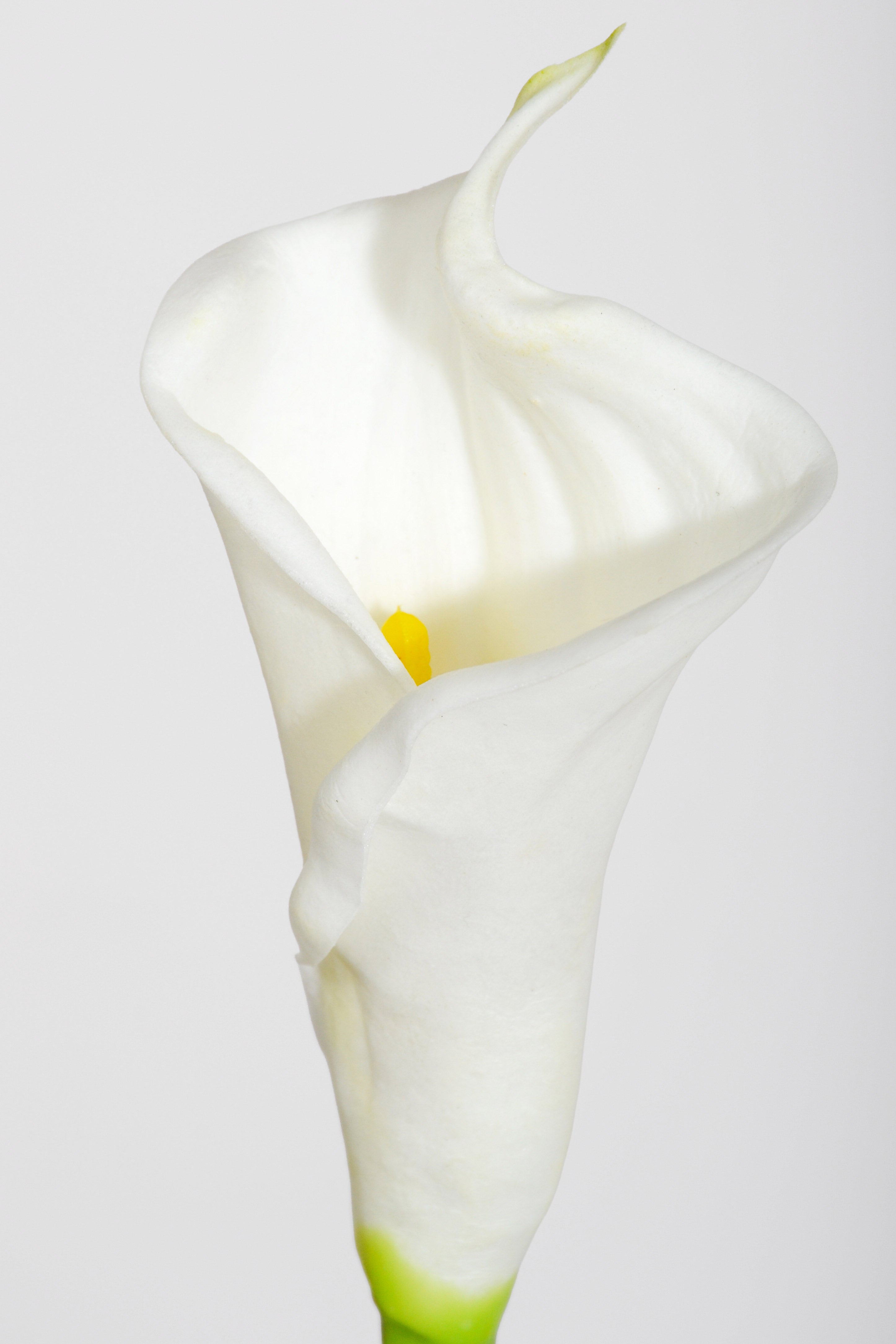 25.5" Artificial Calla Lily Spray White