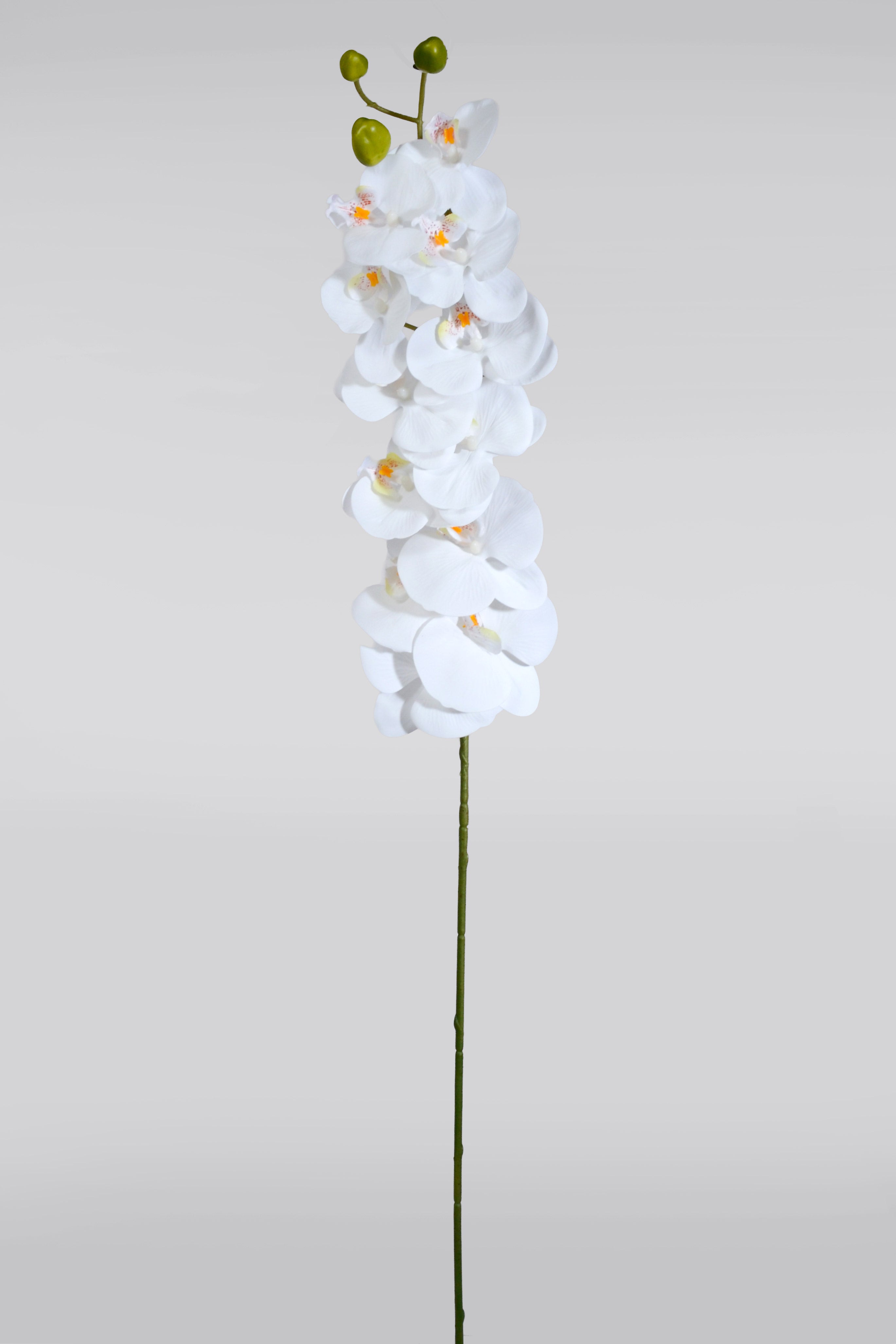 43" Silk Phalaenopsis Spray White
