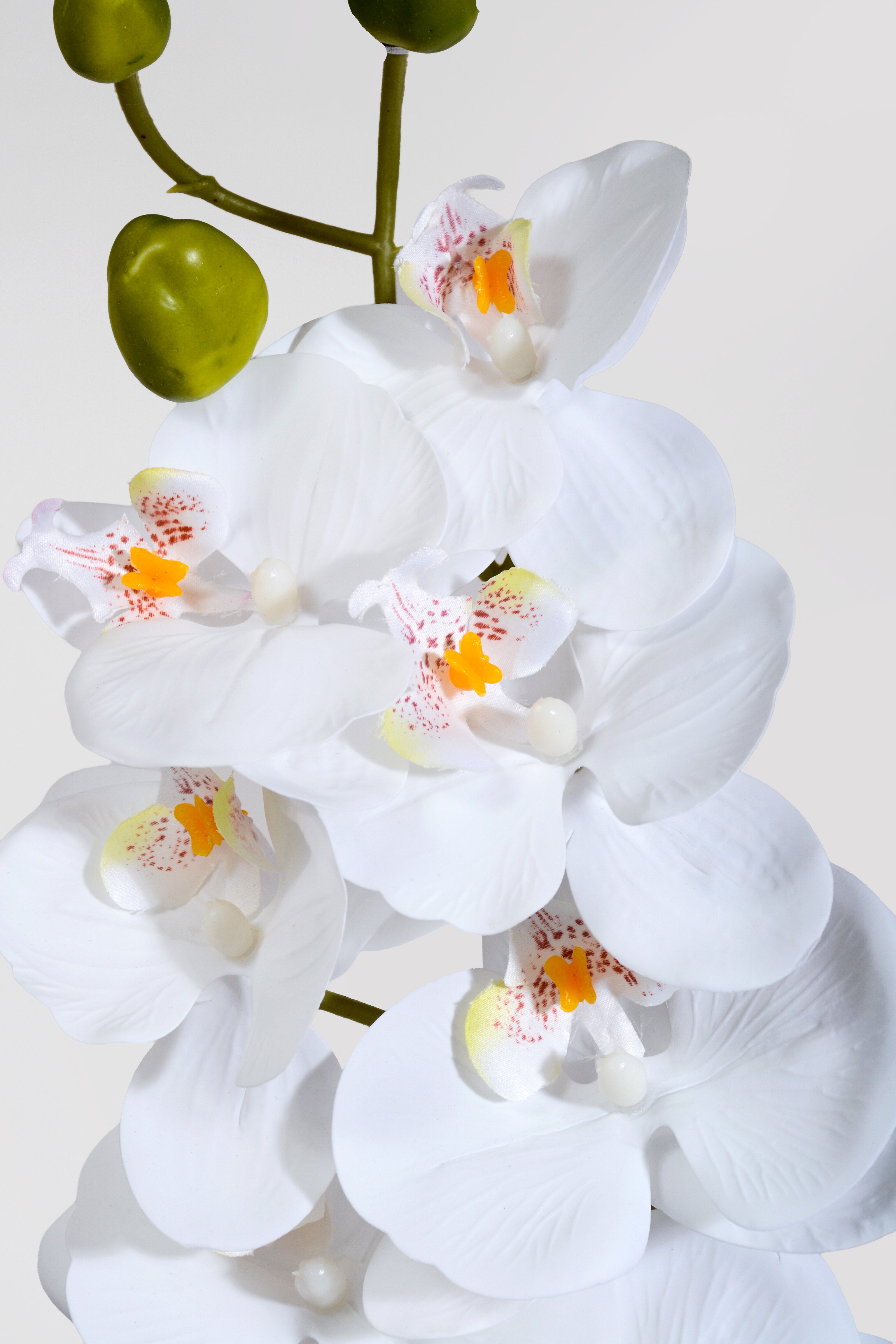 43" Silk Phalaenopsis Spray White