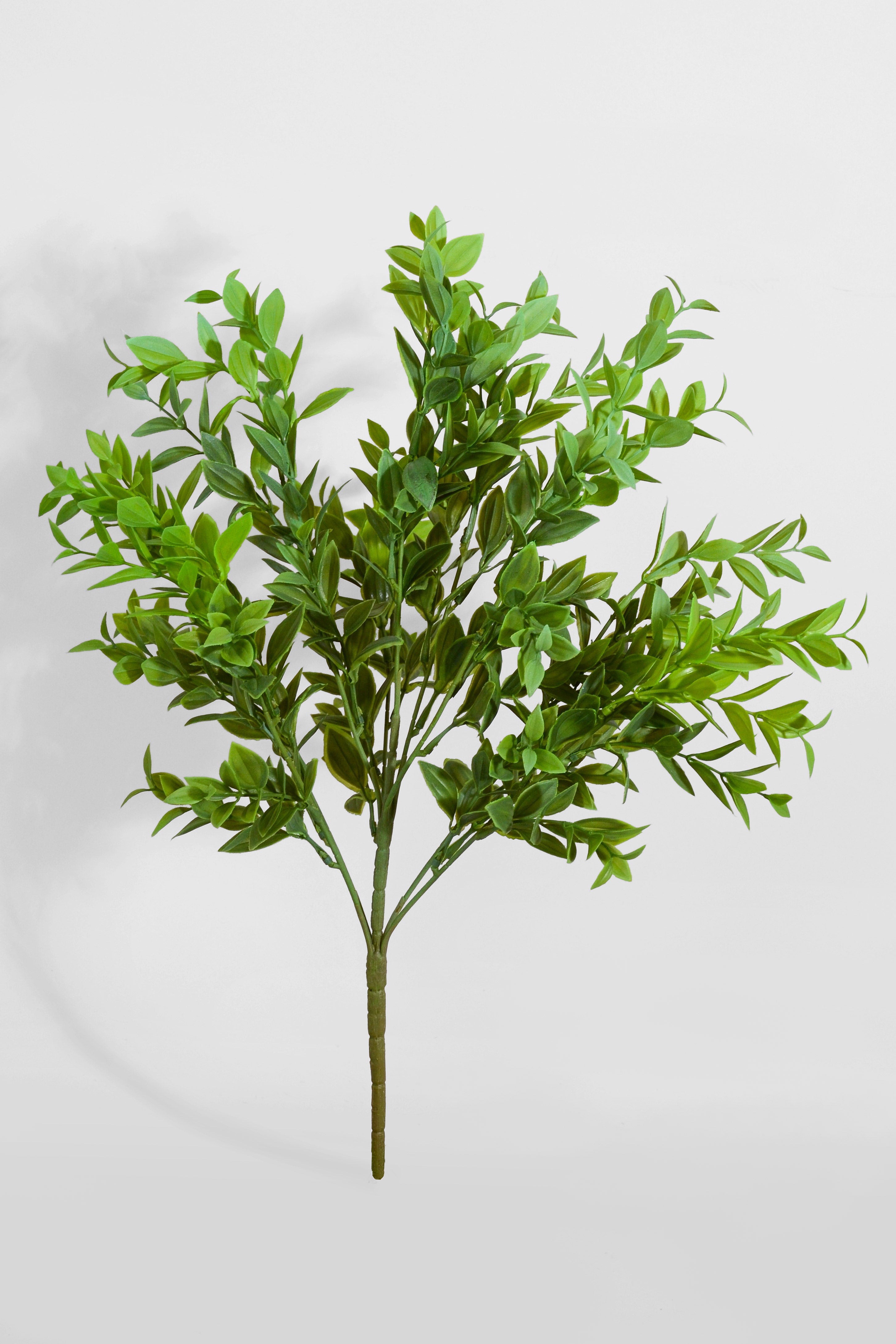 21.5" Uv Artificial Ruscus Bush Green
