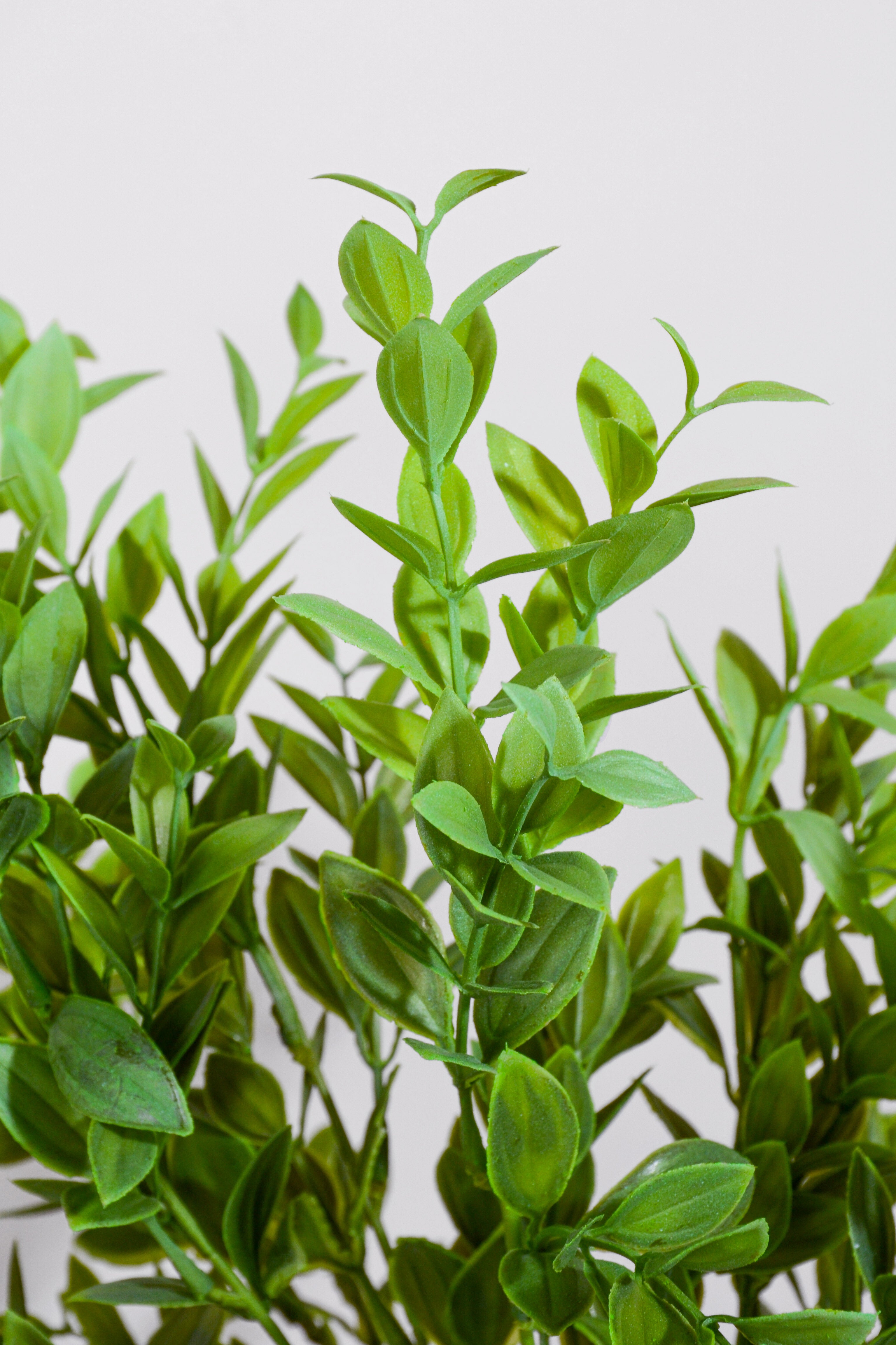 21.5" Uv Artificial Ruscus Bush Green