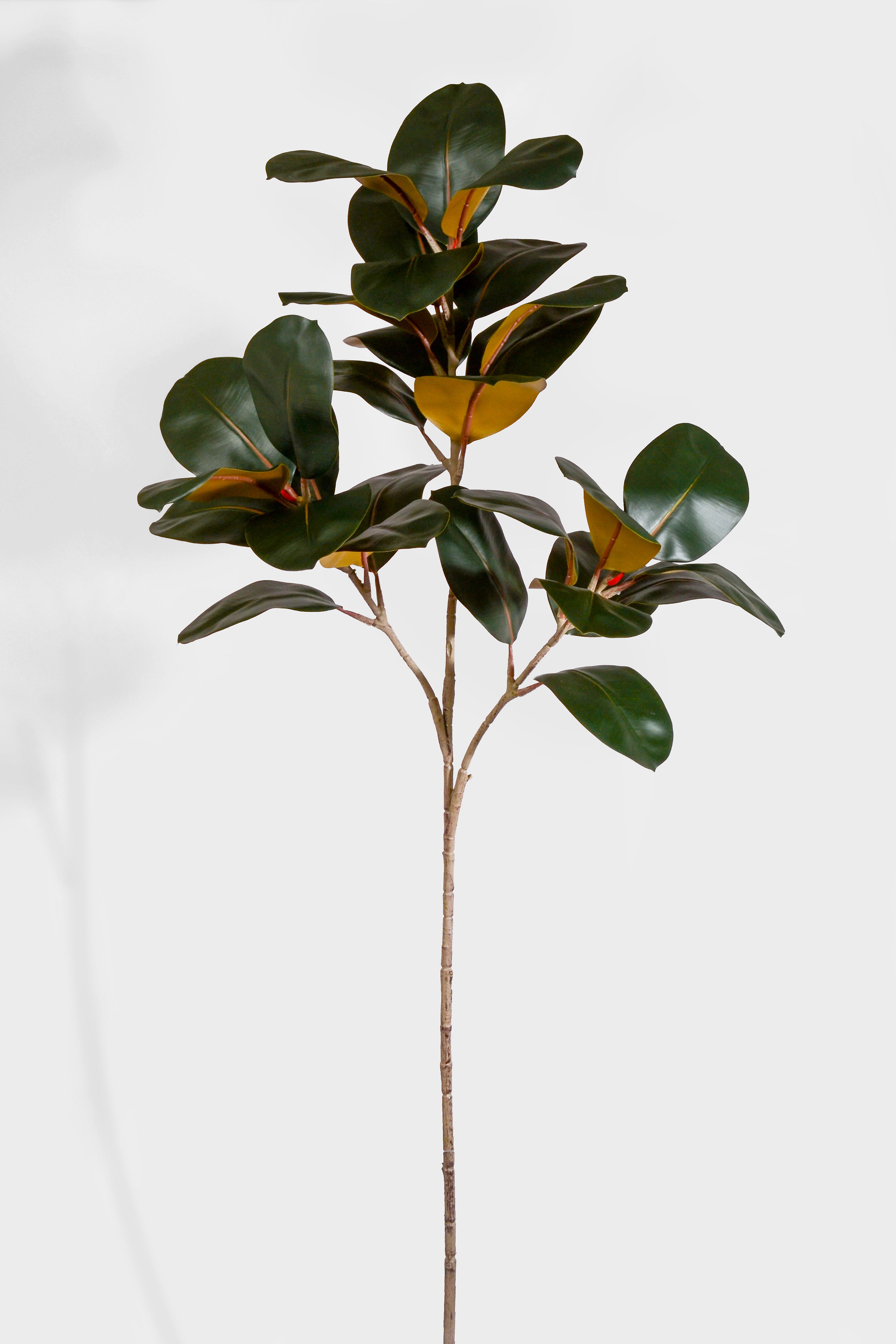 56.3" Artificial Magnolia Leaf Spray Green/Brown