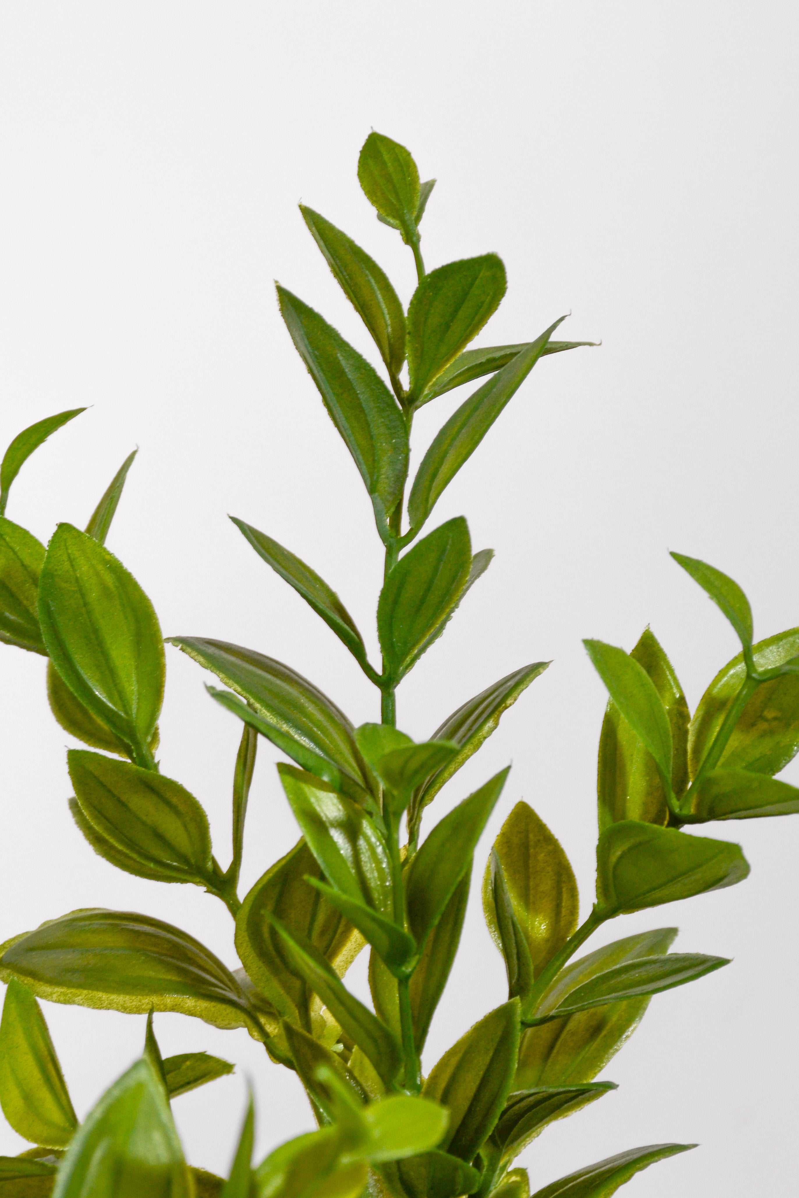 14" Uv Artificial Ruscus Bush Green