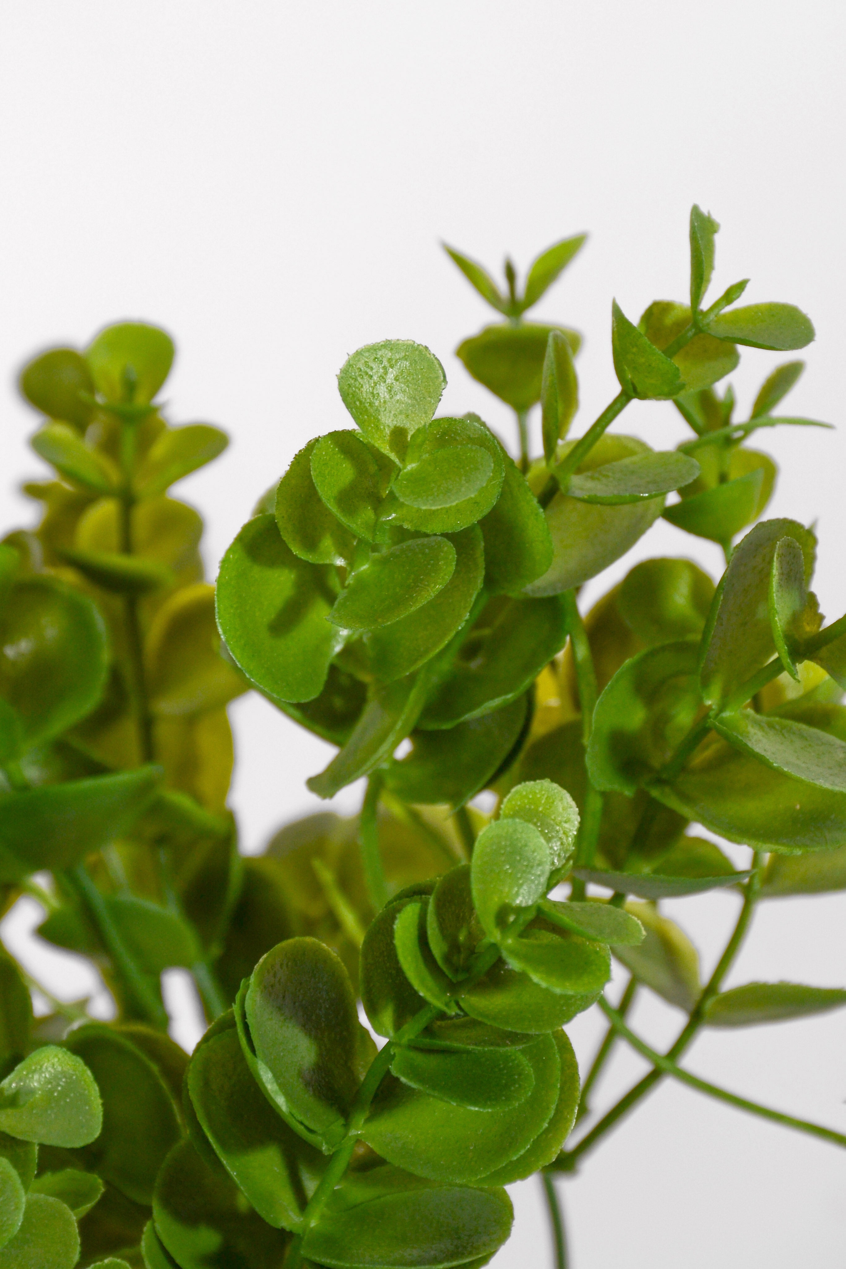 12" Uv Artificial Boxwood Bush Green