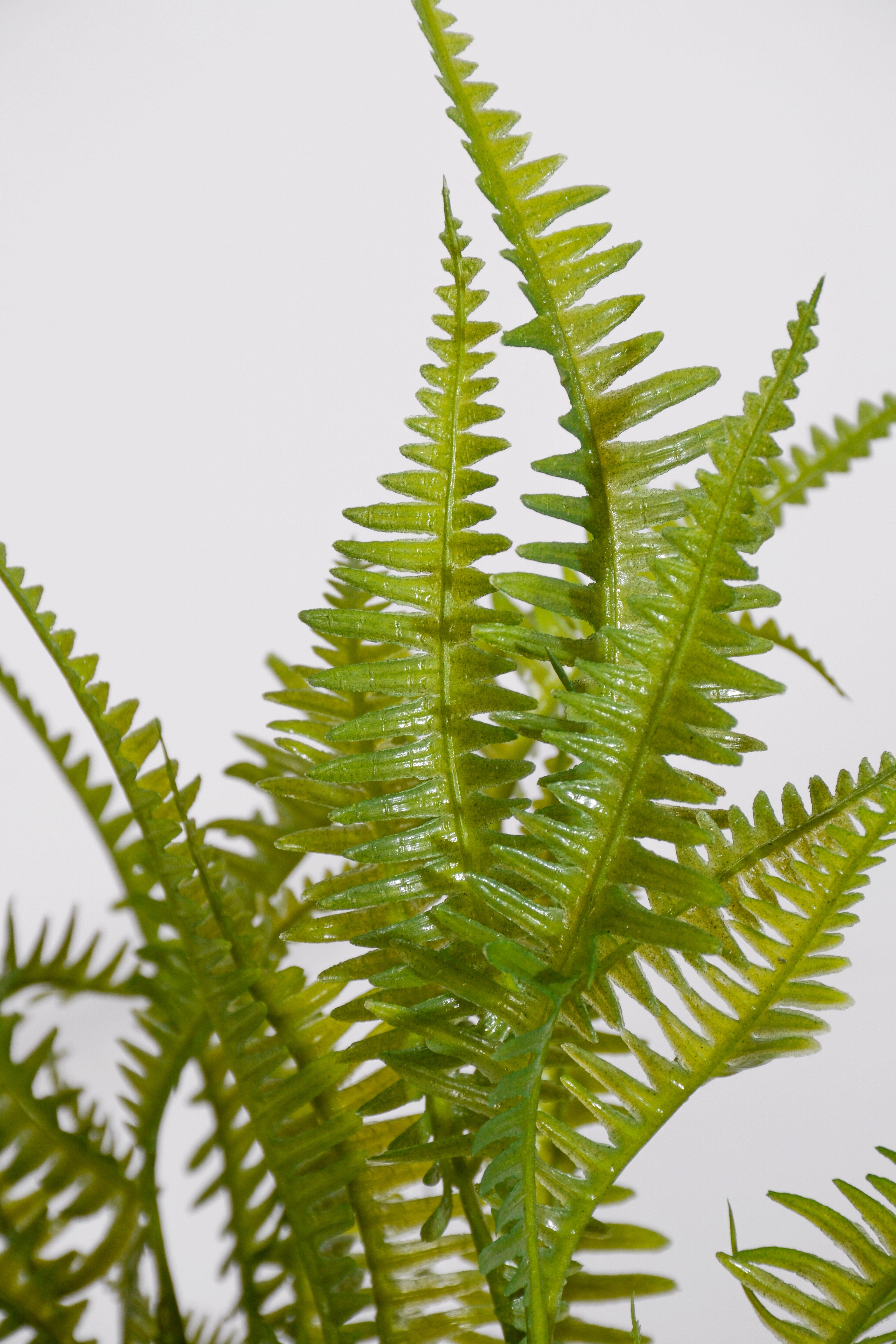 15" Uv Artificial Fern Bush Green