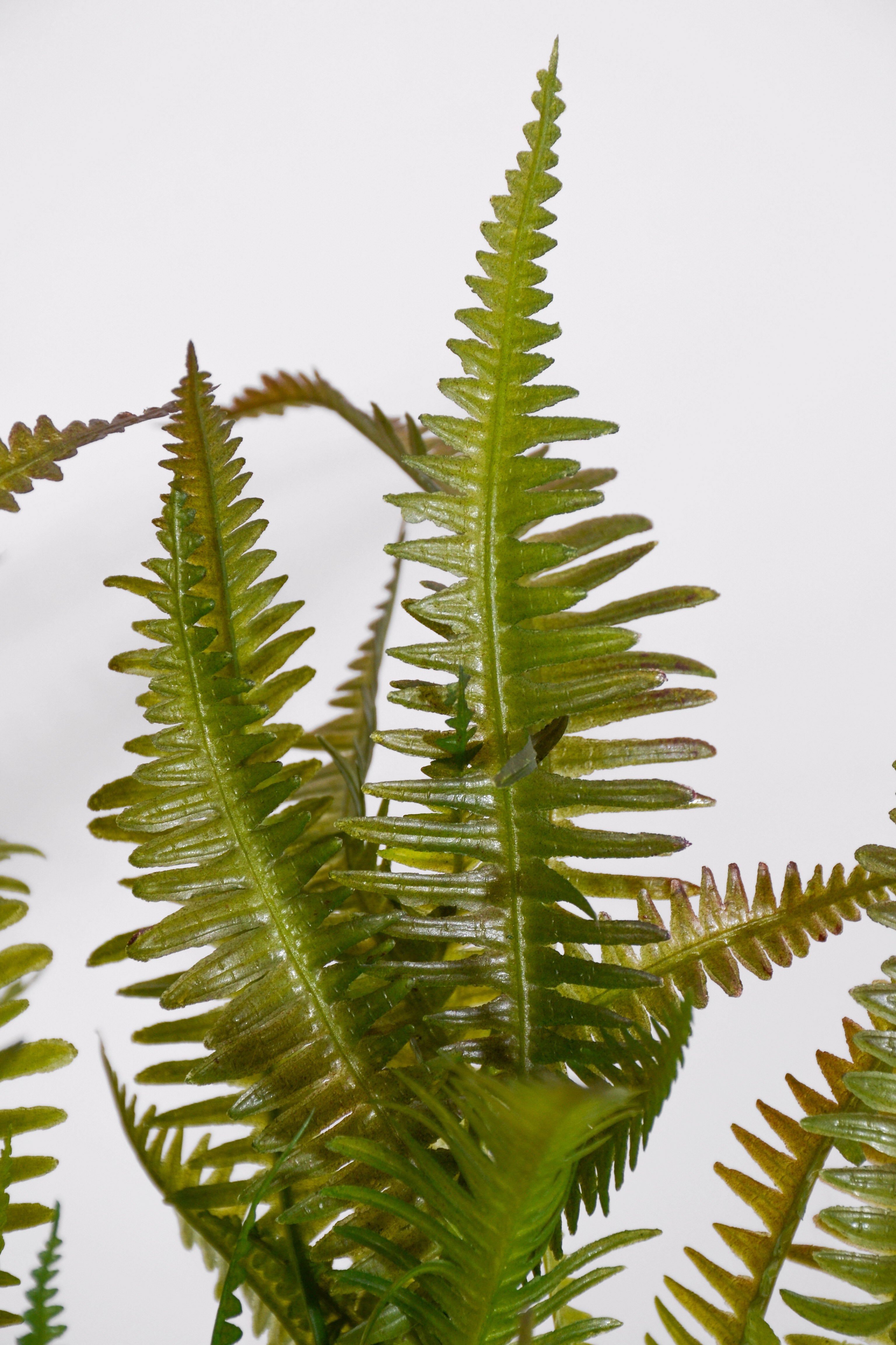 15" Uv Artificial Fern Bush Green/Brown