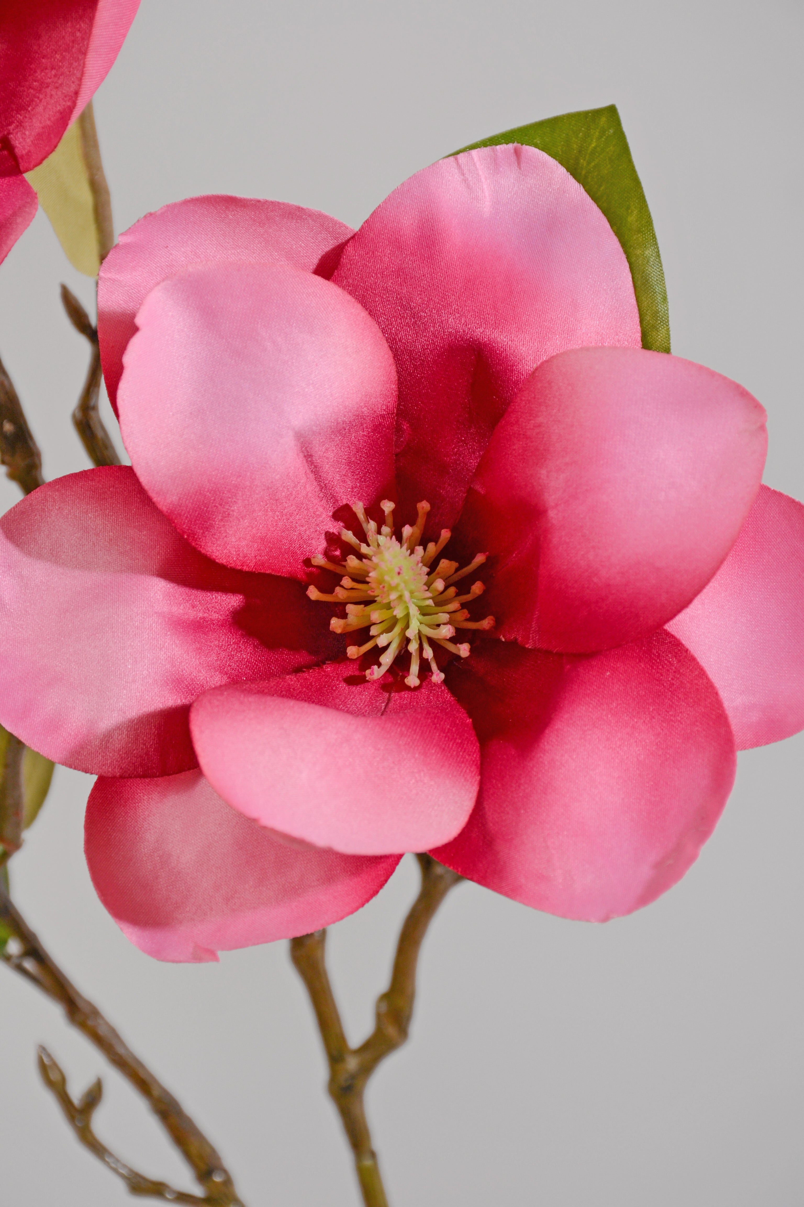 27" Silk Magnolia Spray Mauve