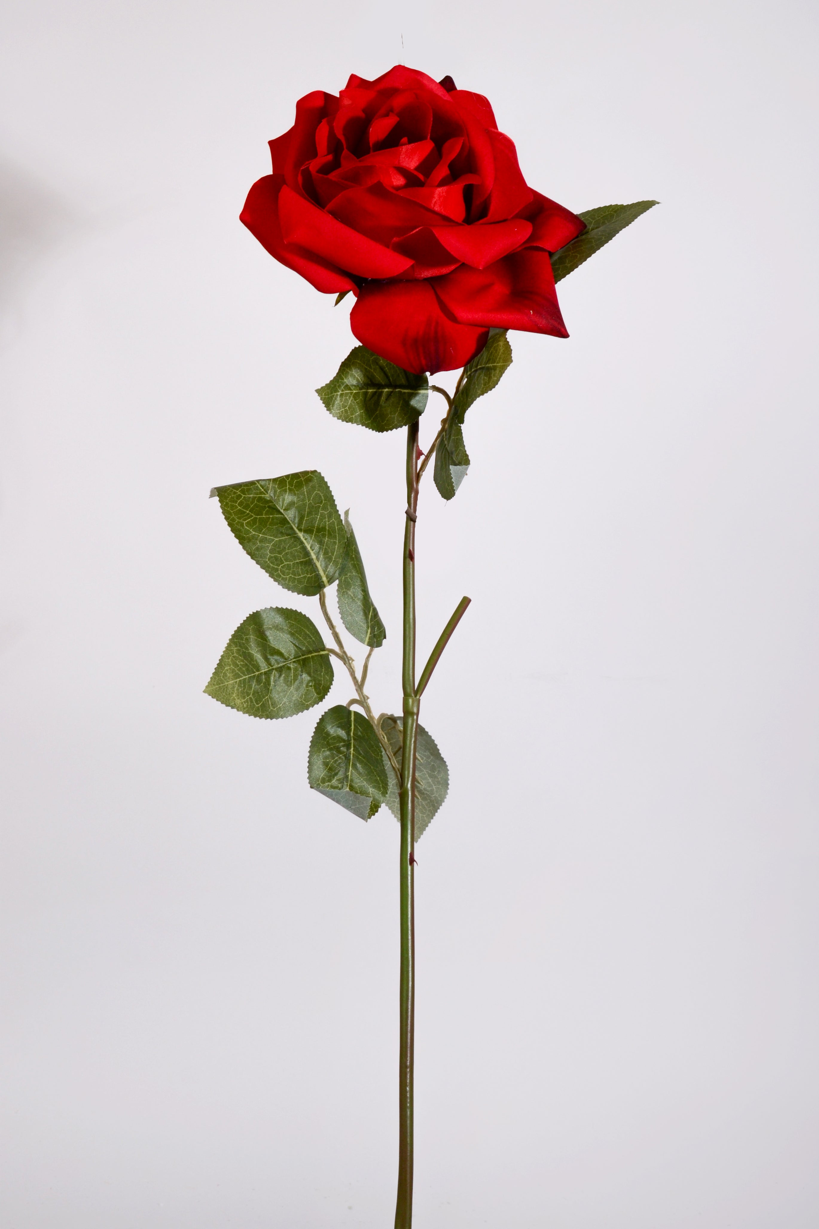 37" Silk King Rose Stem Red