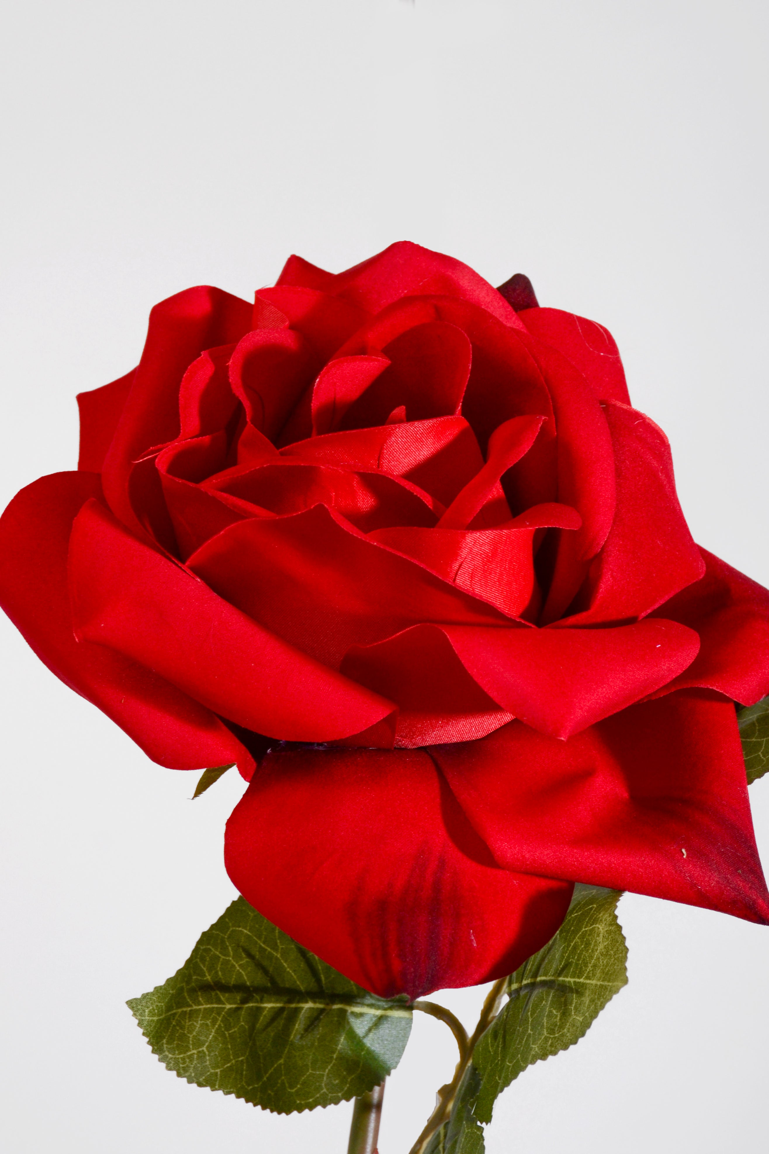 37" Silk King Rose Stem Red