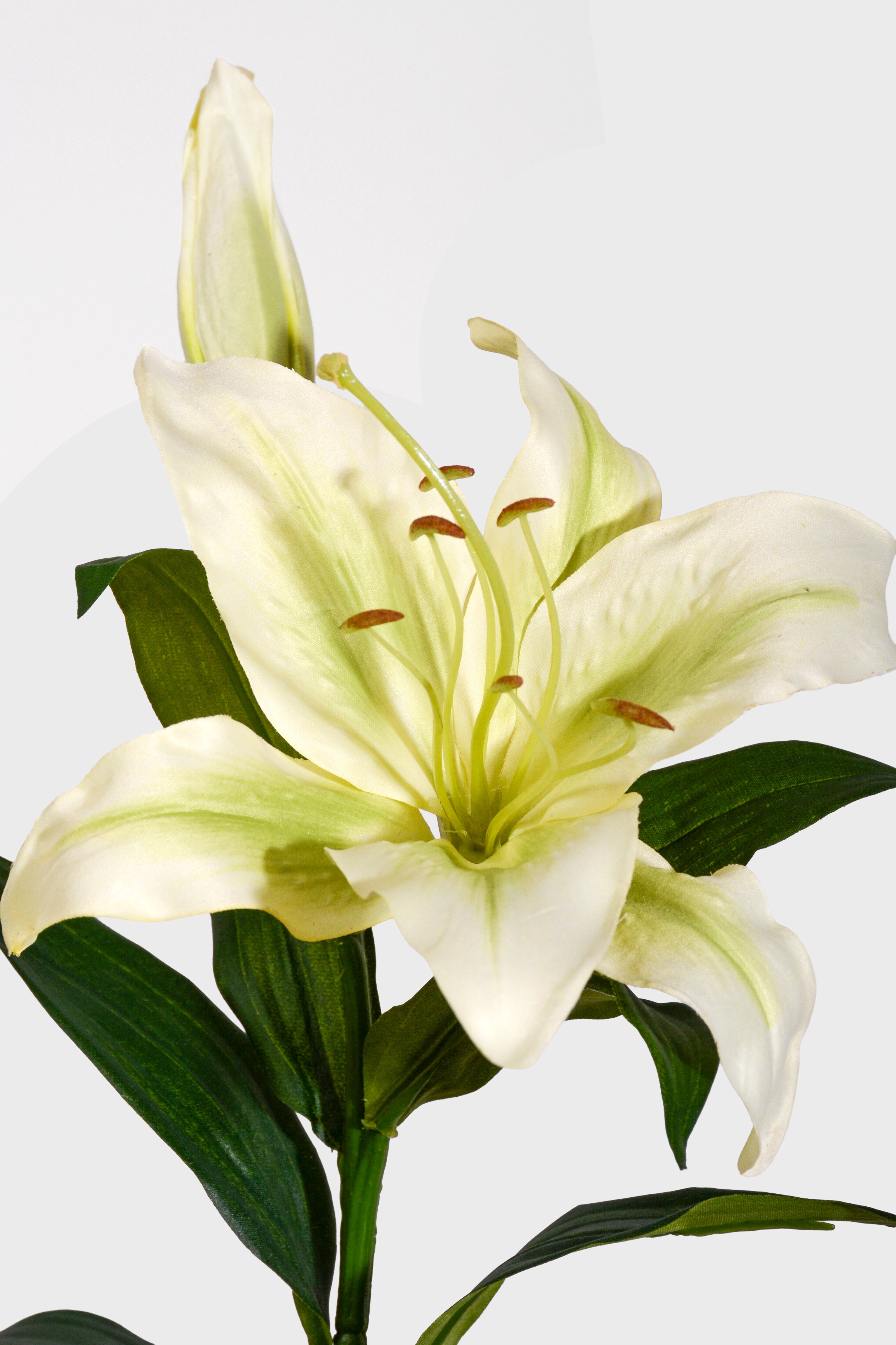 35" Silk Stargazer Lily Spray Green