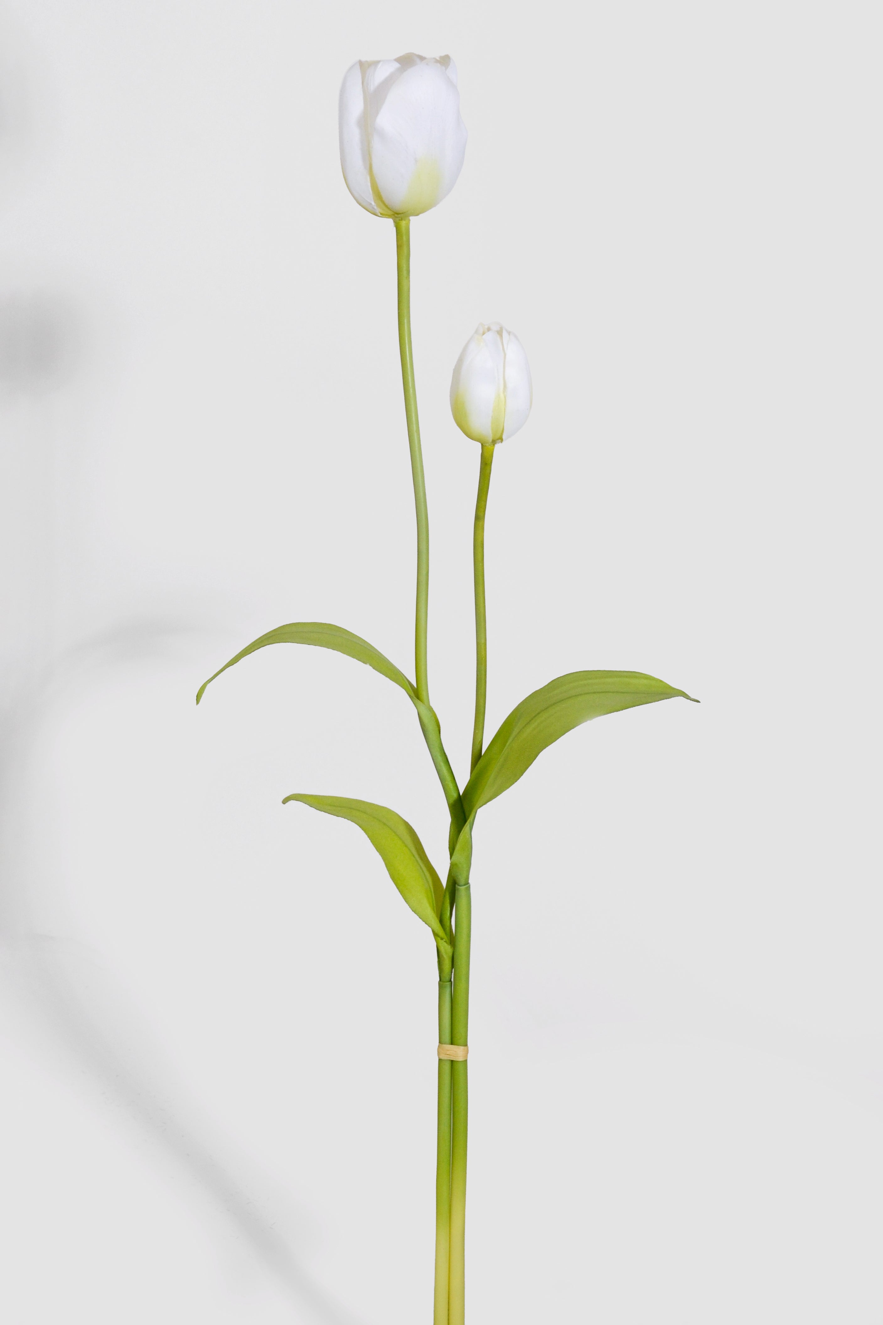 20" & 24" Tulip Spray Bundle White
