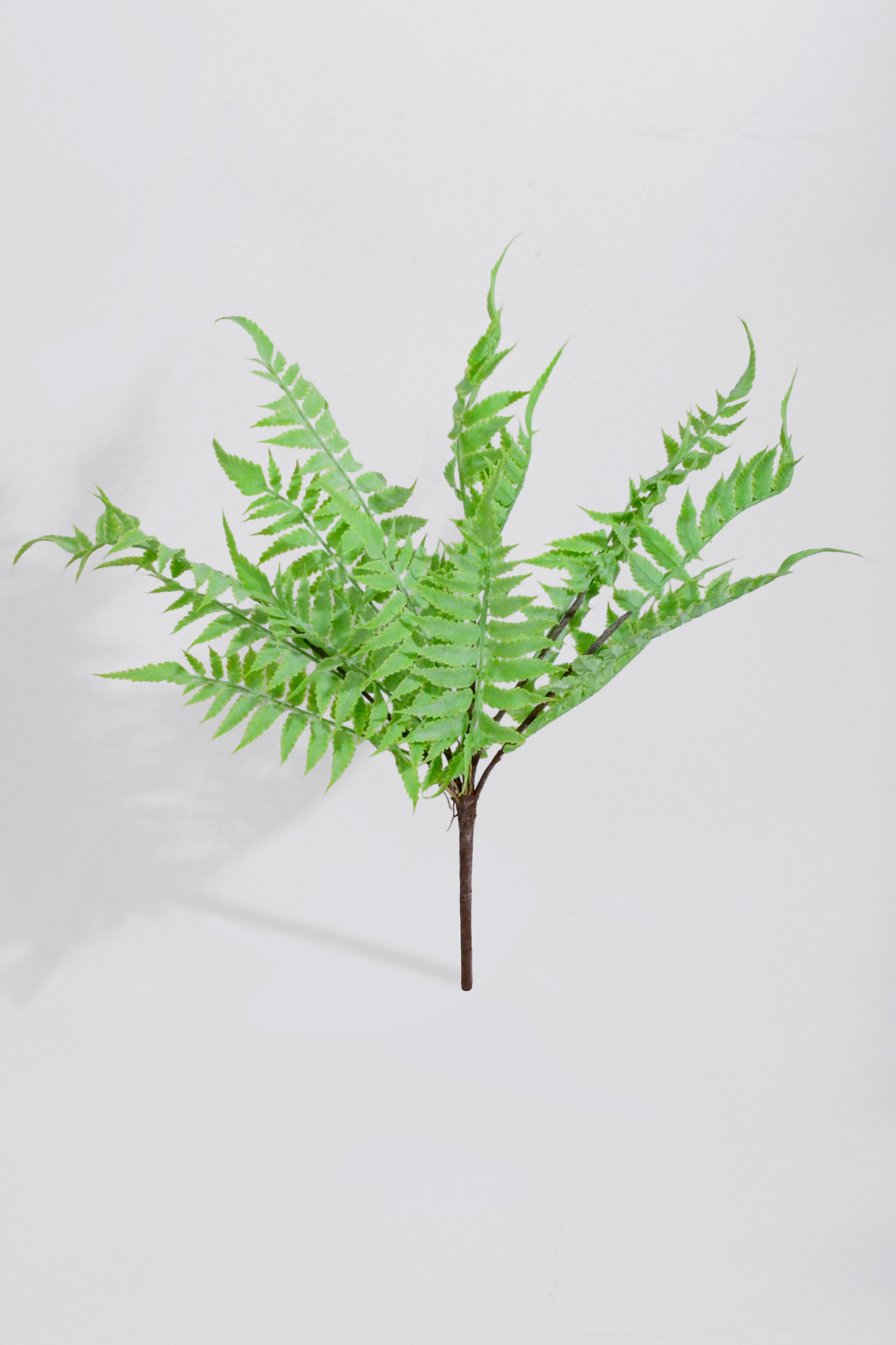 18" Artificial Pteridaceae Bush Green