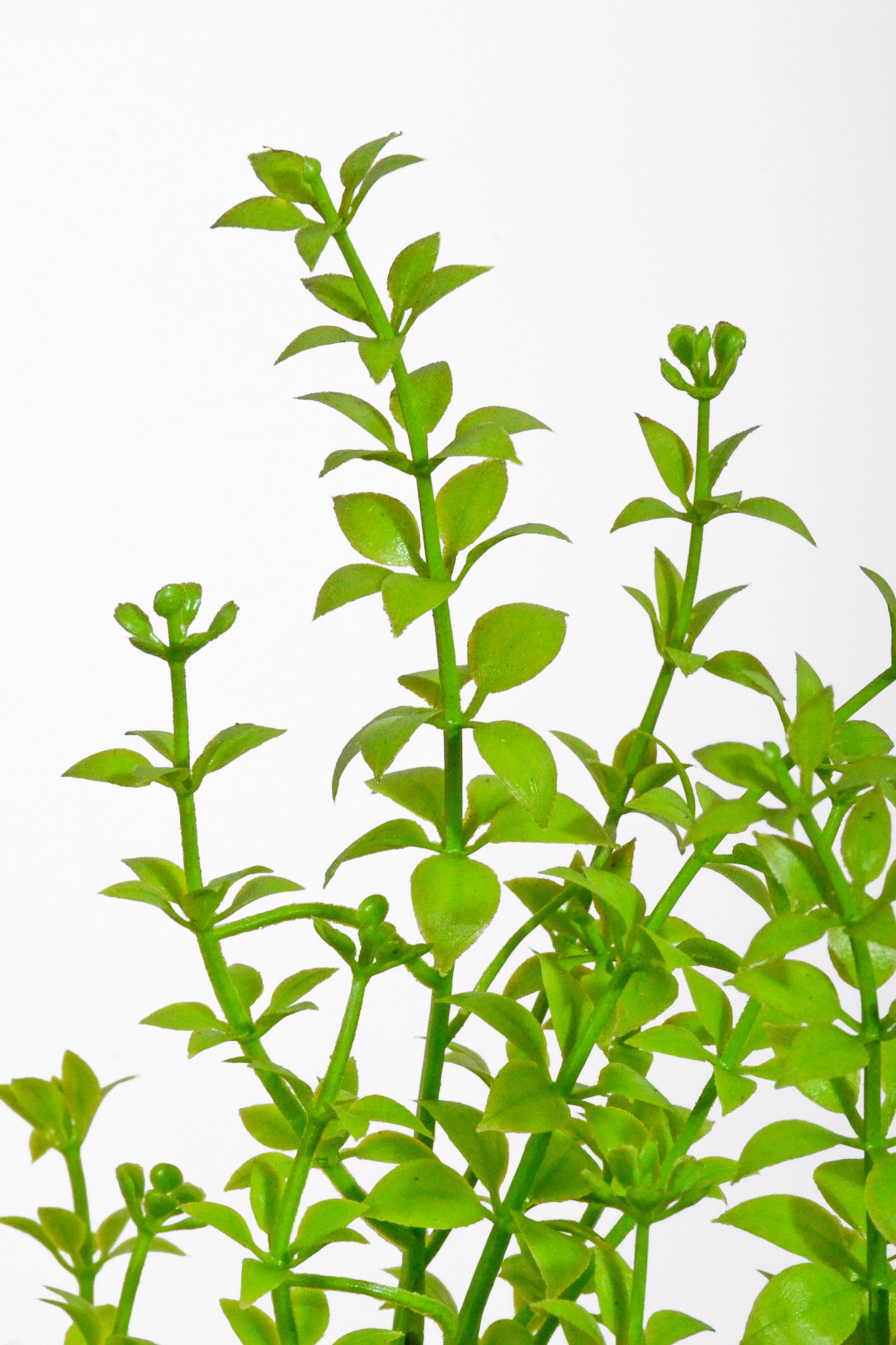 22" Artificial Eucalyptus Bush Green