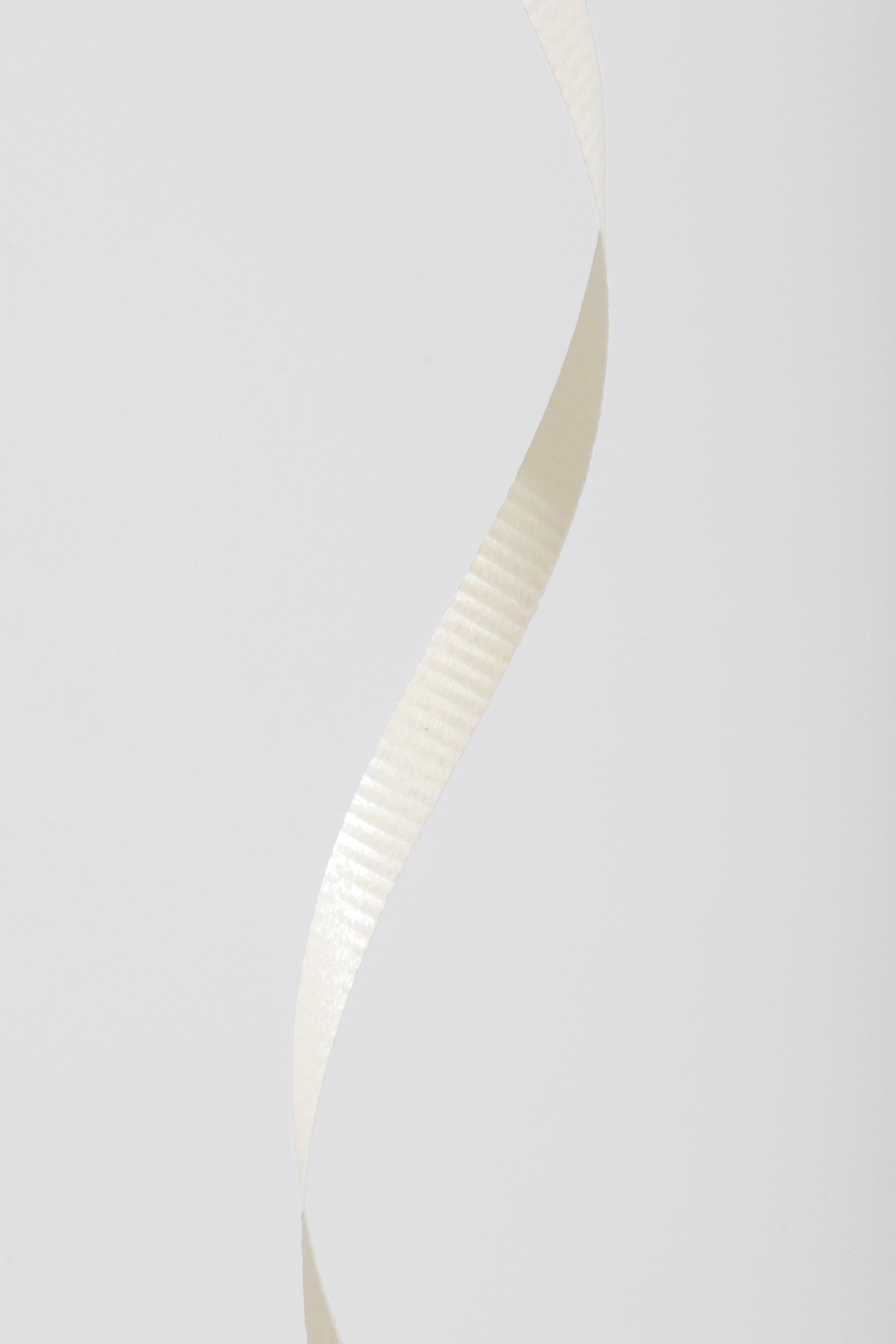 3/16" X 500Y Crimped Curling Ribbon Ivory