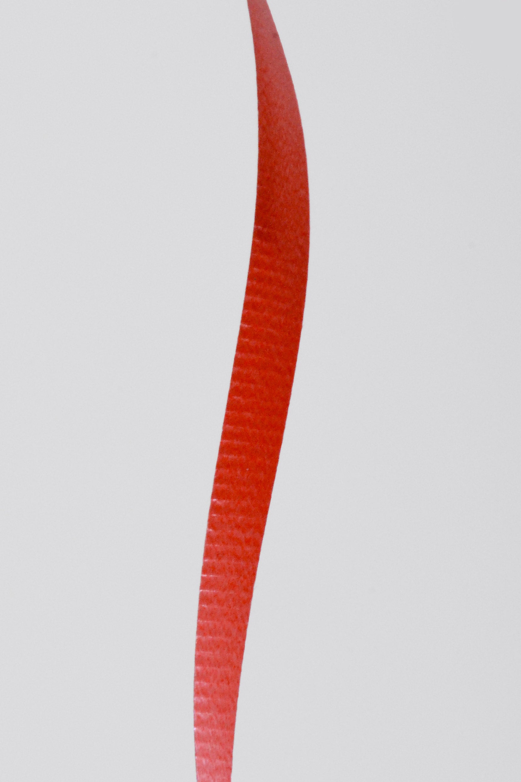 3/16" X 500Y Crimped Curling Ribbon Red