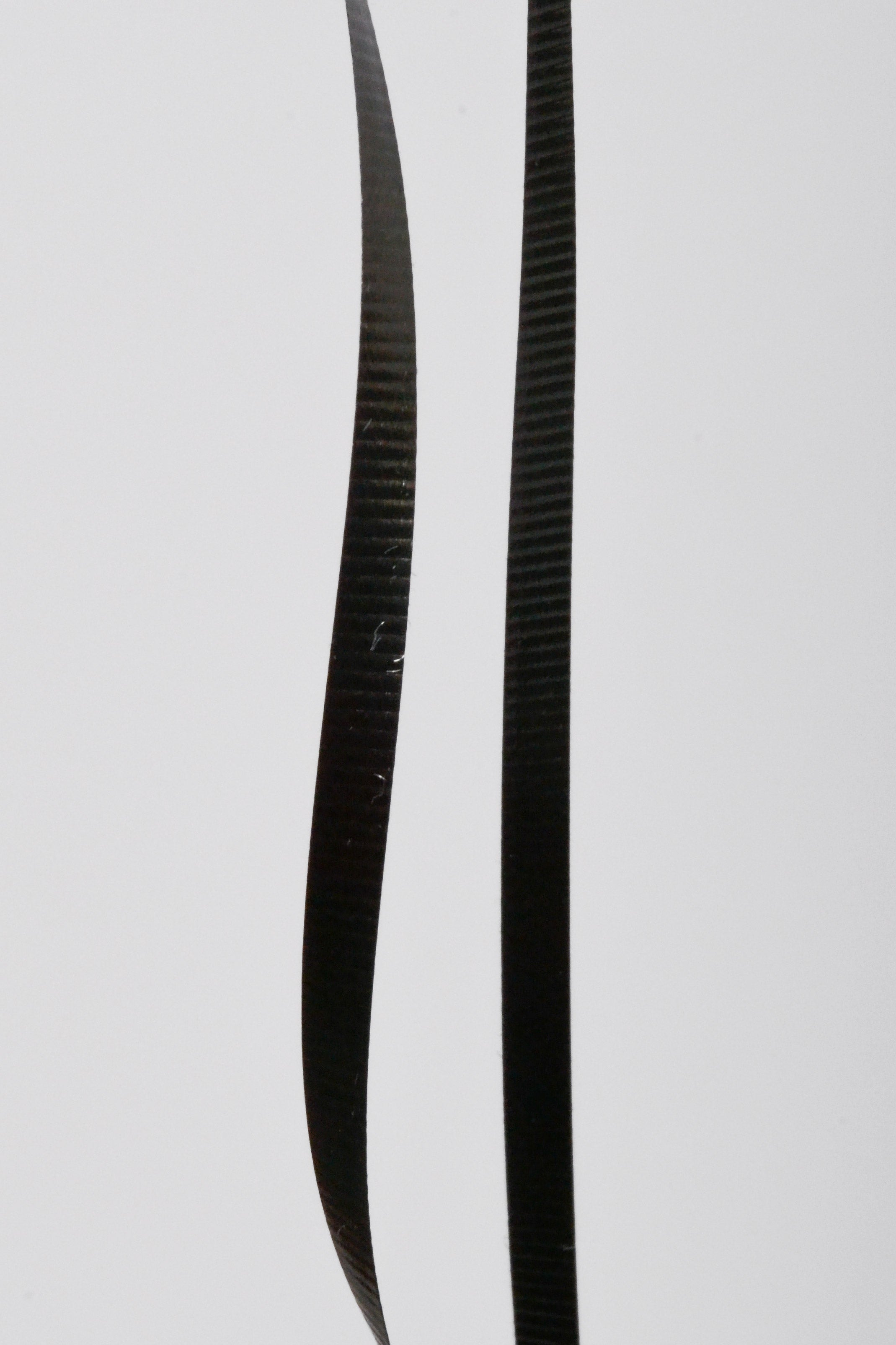 3/16" X 500Y Crimped Curling Ribbon Black