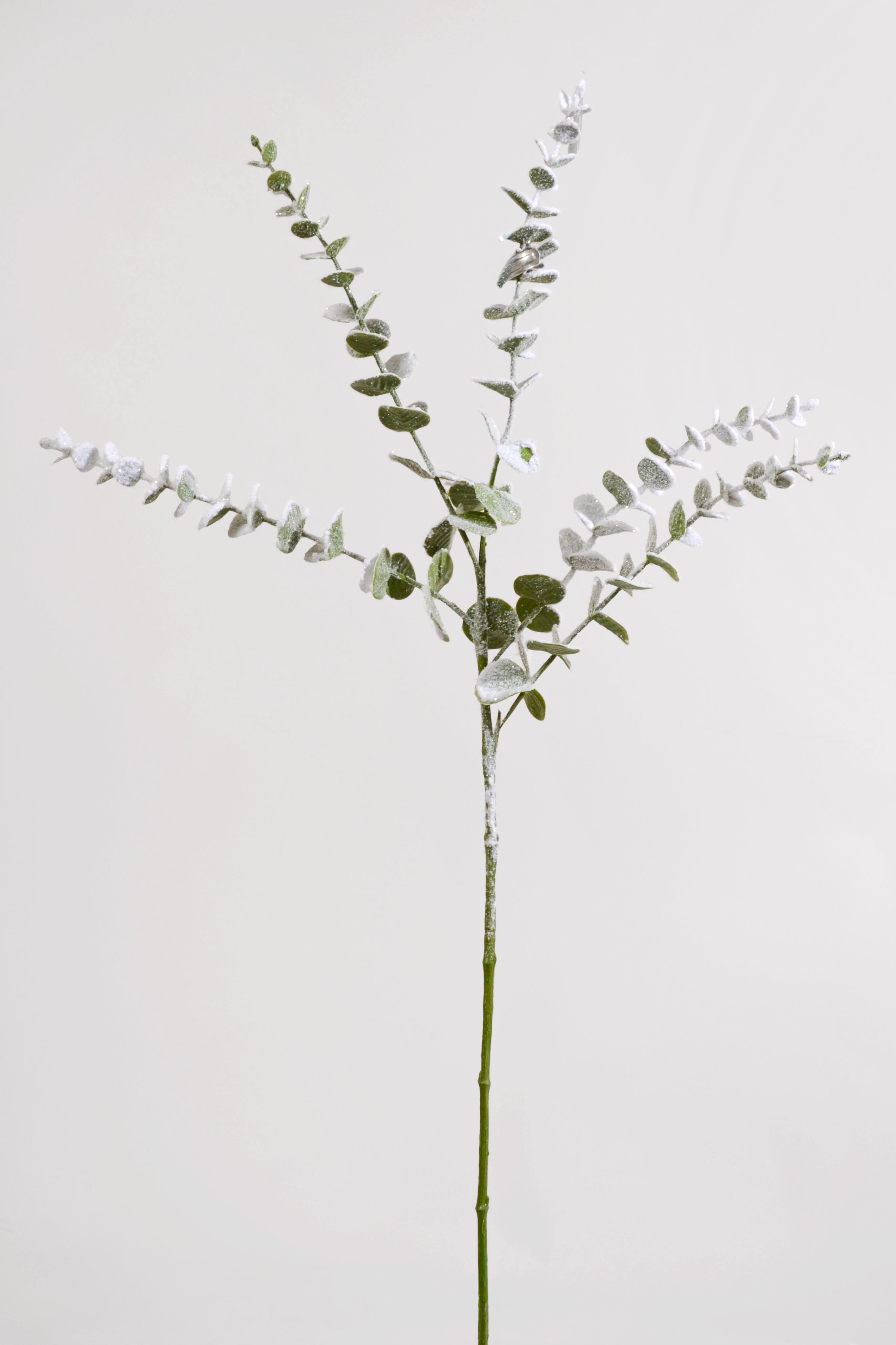 29" Glitter Snow Eucalyptus Spray White/Green
