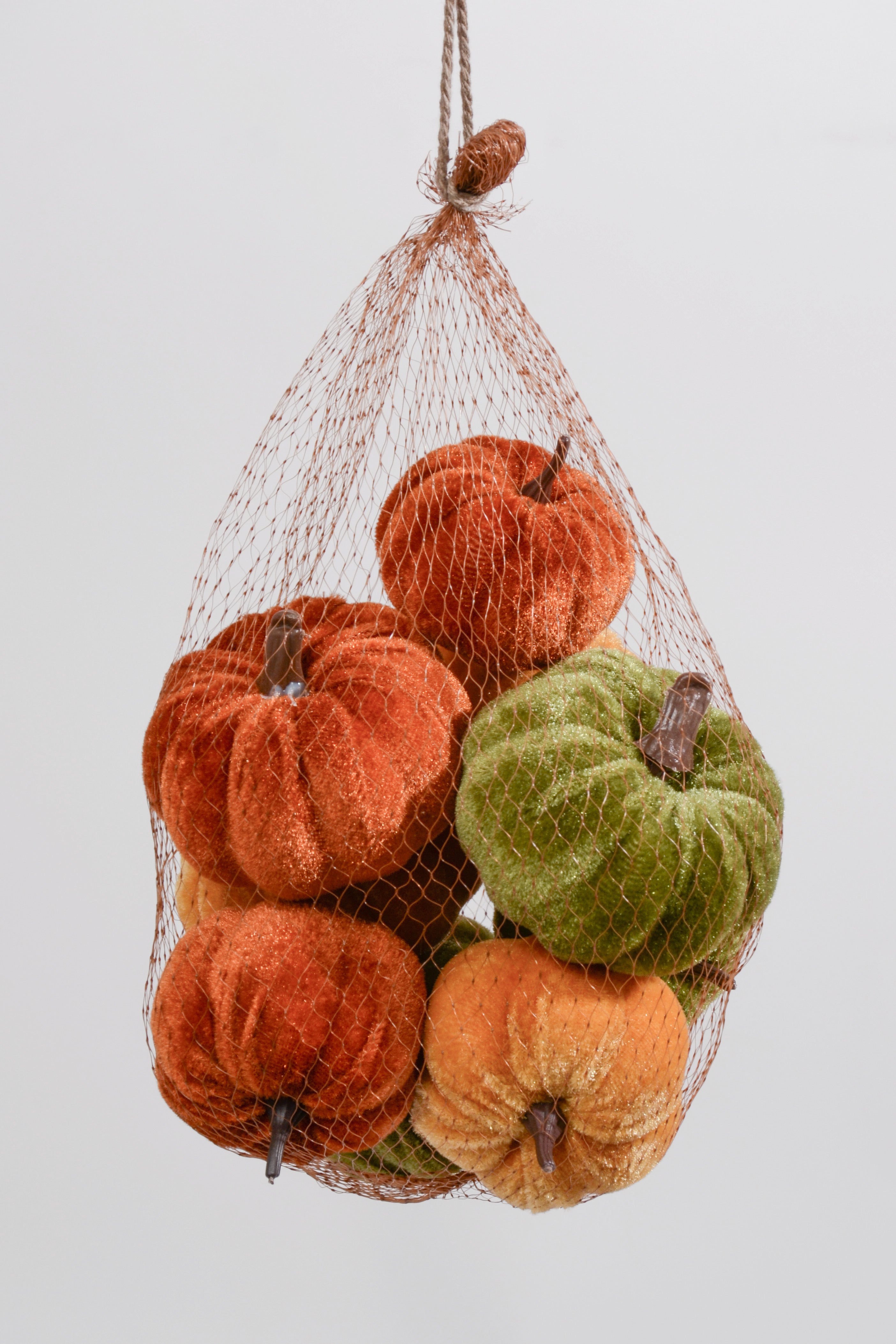 Velvet Pumpkin Orange/Green Pkg9