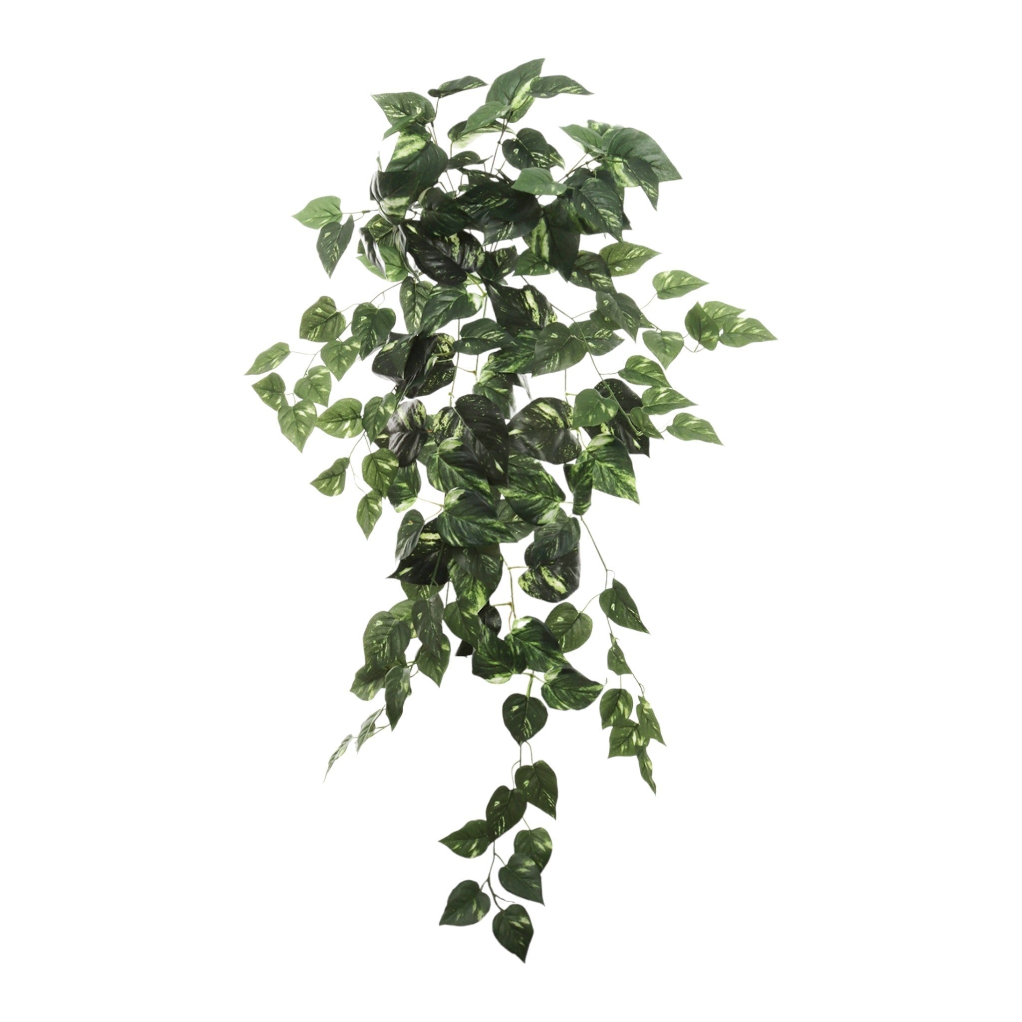 36" Hanging Pothos Bush X136 Green