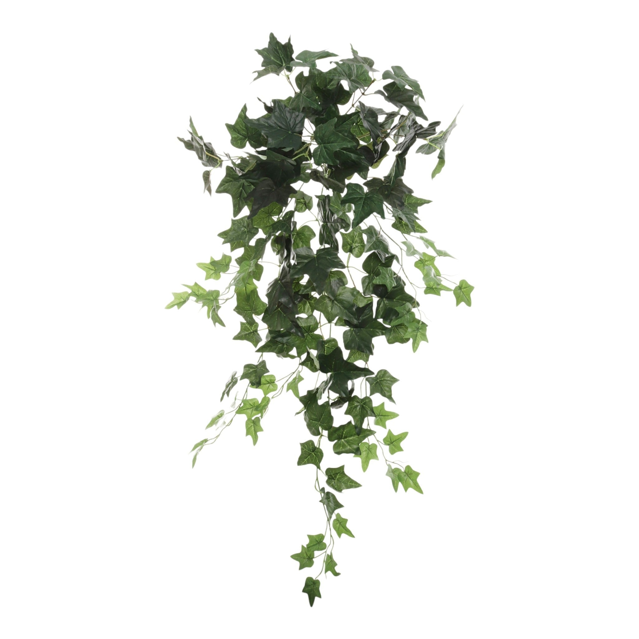 36" Hanging English Ivy Bush X136 Green
