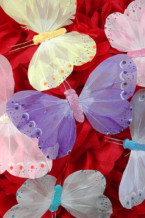 5" Pastel Butterfly Assorted Pkg/12
