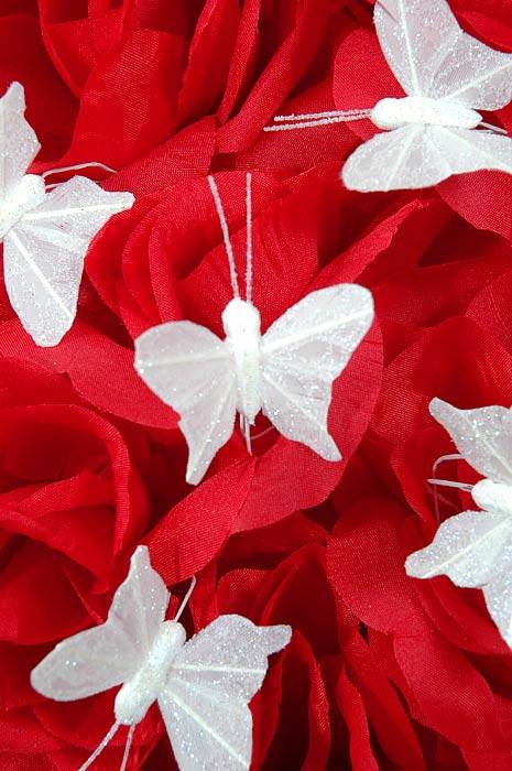 1" Mini Butterfly White Pkg/12