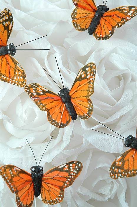 2" Butterfly Monarch Pkg/12