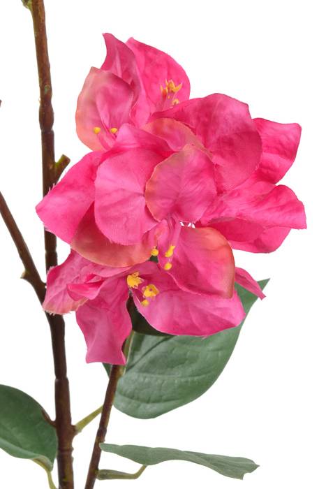 47" Silk Bougainvillea Spray Fuchsia