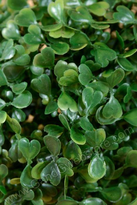 6" Boxwood Ball Green