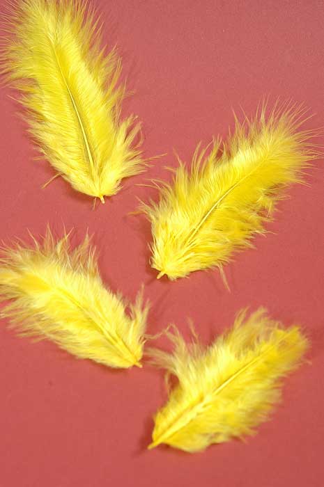 3.5" Ostrich Feathers Yellow Pkg/100