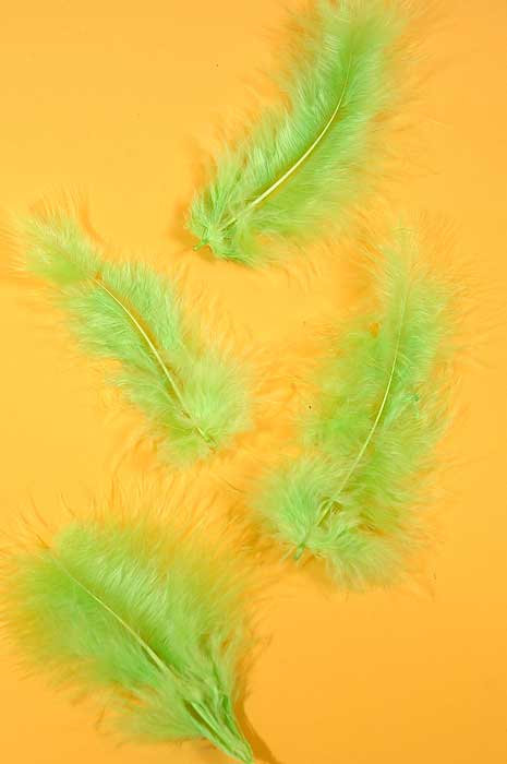 3.5" Ostrich Feathers Lime Green Pkg/100