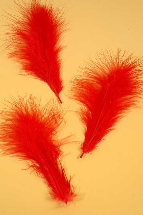 5" - 7" Ostrich Feather Red Pkg/50