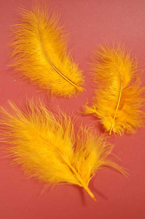 5" - 7" Ostrich Feather Gold Pkg/50