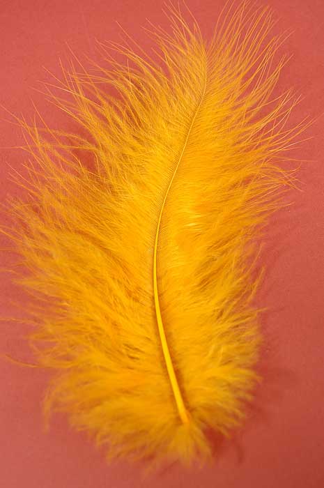 5" - 7" Ostrich Feather Gold Pkg/50