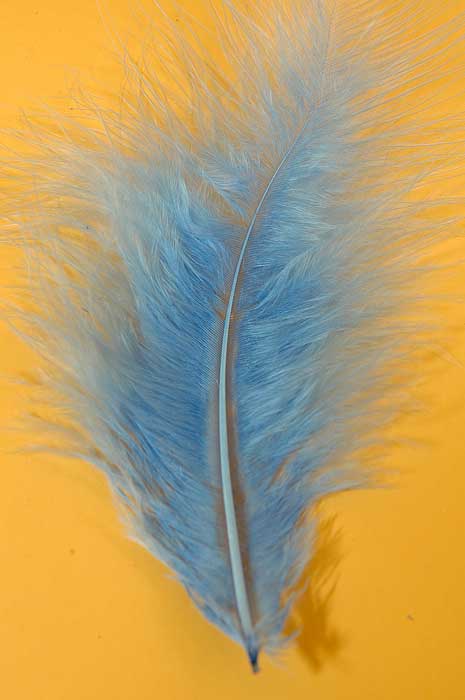 5" - 7" Ostrich Feather Lt Blue Pkg/50